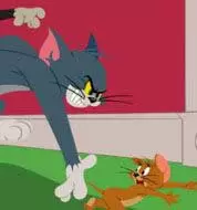 Chasing Jerry