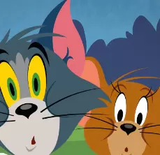 Tom And Jerry Matching Pairs