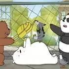 We Bare Bears Feathered Chase