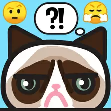 Which Meme Cat Are You