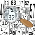 The Digital Puzzle: Find all the numbers!