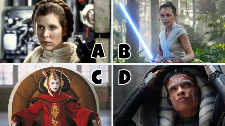 Who is Luke Skywalker's twin sister?