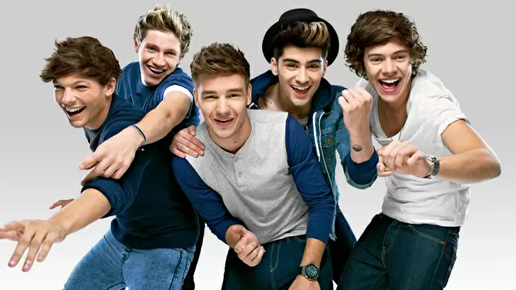 Ultimate Directioner