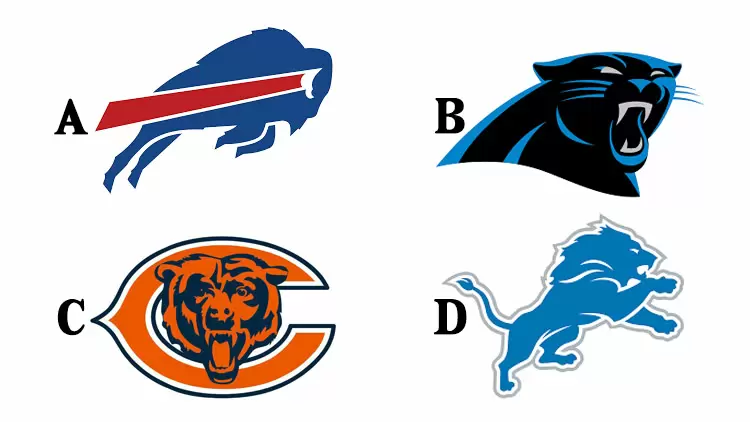 Which of the following options is the Detroit Lions logo?