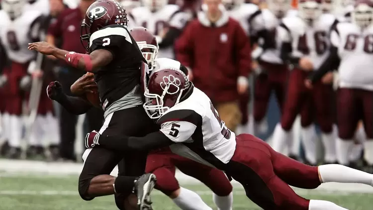 Touchdown on Logo Knowledge