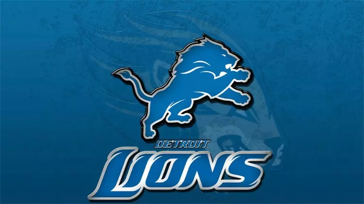 You have some knowledge about the Detroit Lions.