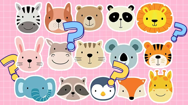 Animal Trivia: What Do You Know? Quiz