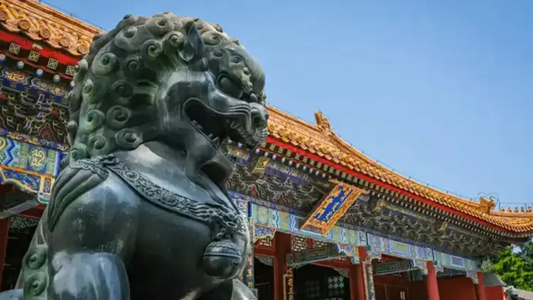 Promising Performance