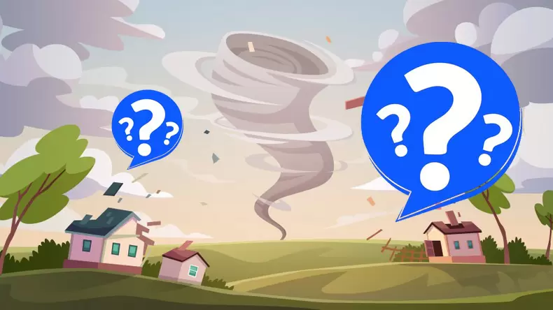 Typhoon Knowledge Test Quiz