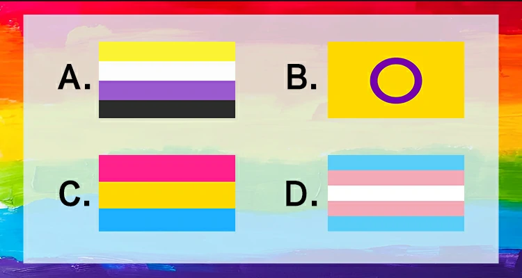 Can you pick out the Transgender Pride Flag?