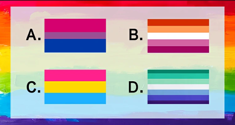 Which of these flags stands for Pansexual Pride?