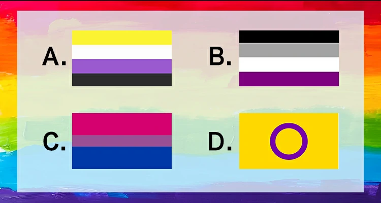 Which flag represents the Nonbinary community?