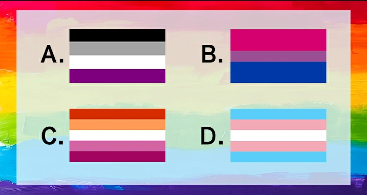 Which of these is recognized as the Lesbian Pride Flag?