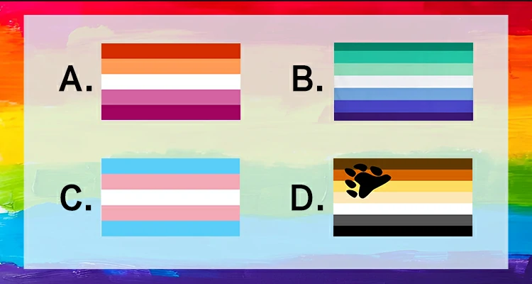 Which flag is commonly associated with Gay Men's Pride?