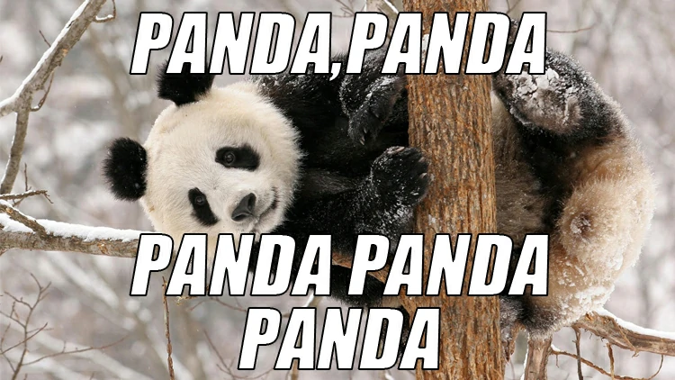 Congratulations! You're a real panda expert!