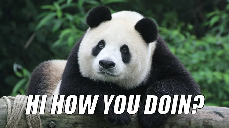 Looks like we have some pandas' admirers here who are just getting started!