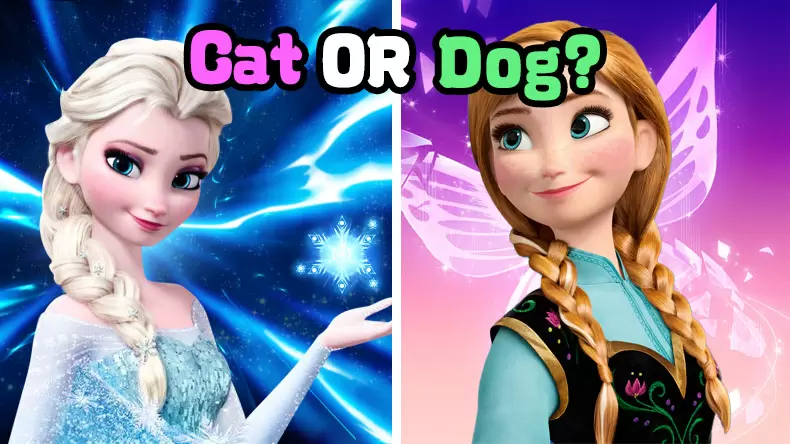 Are you more cat or dog?