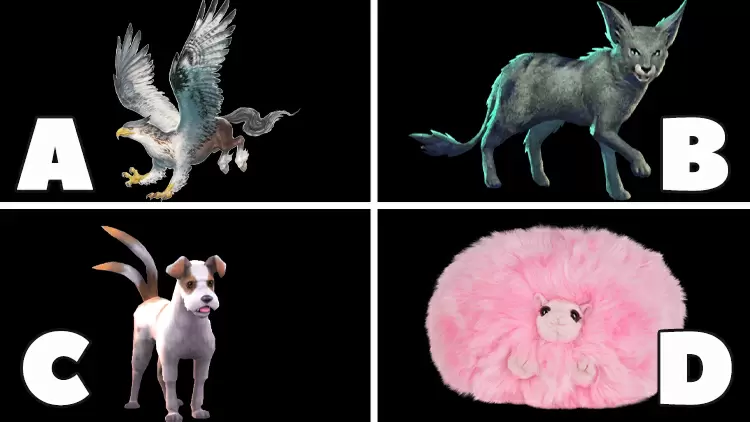 If you could have a magical pet, which would you choose?