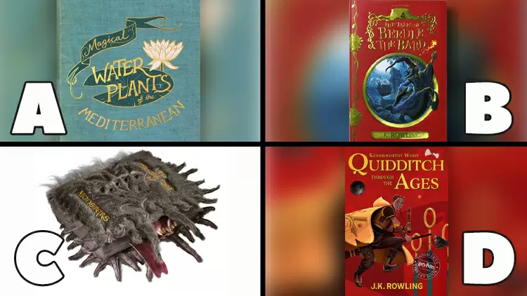 Which magical book would you gift to a friend?