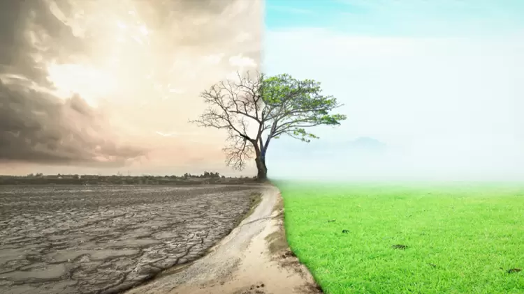 What's your favourite season?