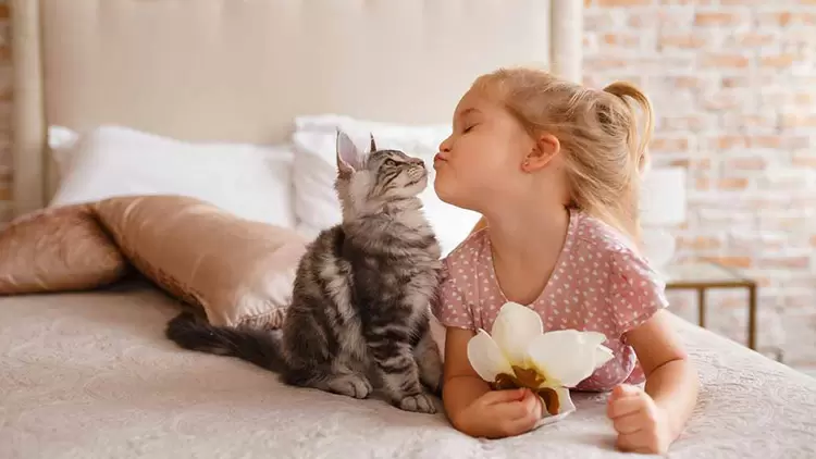 What's your favourite animal?