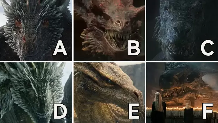 Next, pick a dragon