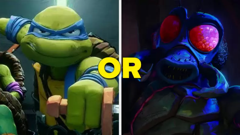 TMNT: Which 'Teenage Mutant Ninja Turtles' Character Are You?