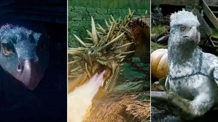 What is your favorite magical creature?