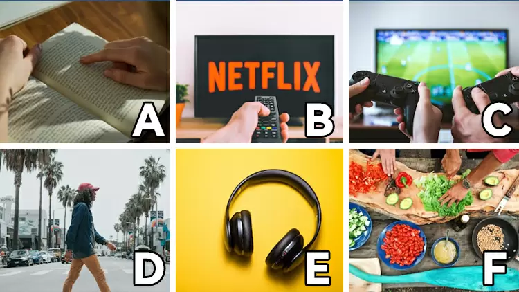 What do you like to do in your free time?