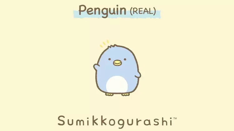 Penguin (Real) (ぺんぎん本物)