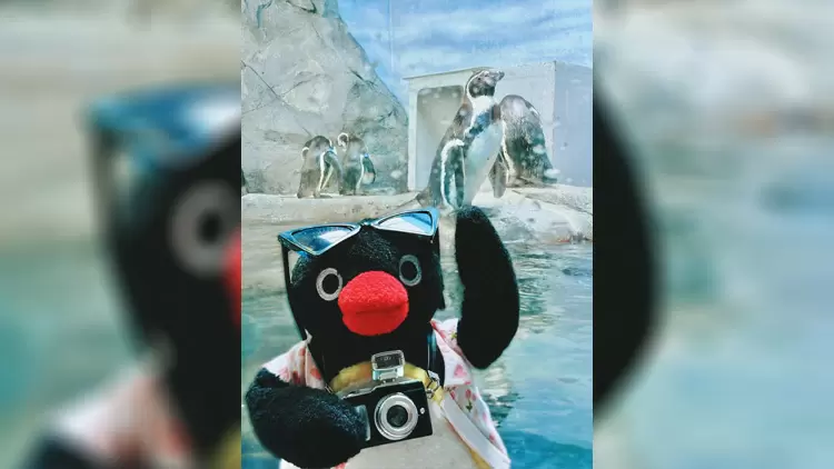 If you were going to participate in an outdoor adventure, which one would you choose?