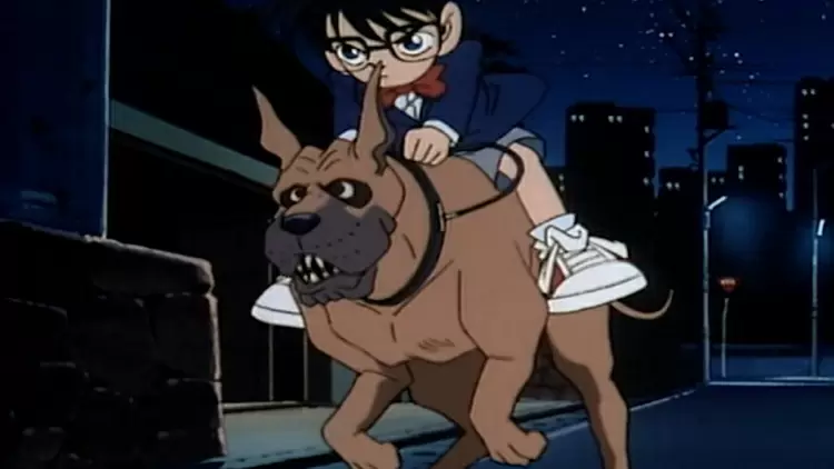 Which magic pet would you choose?