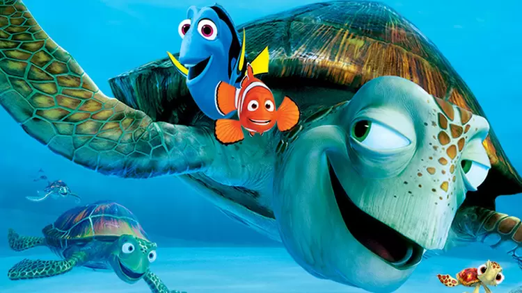 What is your preferred start location?