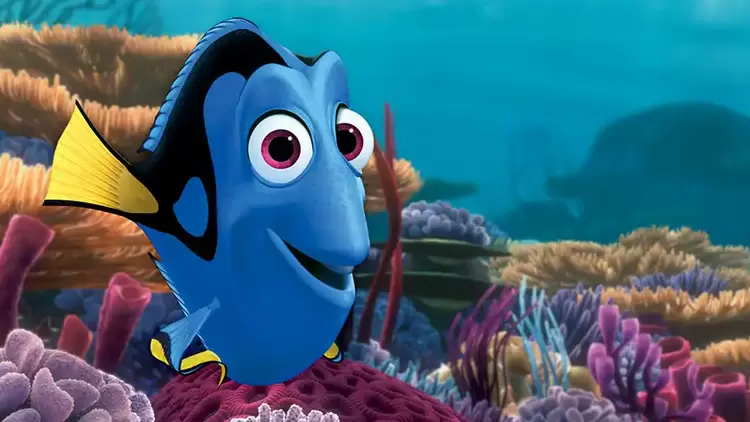 Dory