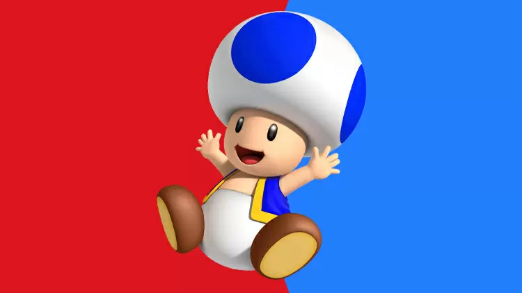 Congratulations! You're a true team player, just like Blue Toad! 