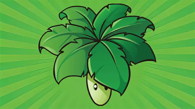 You are the Umbrella leaf! 