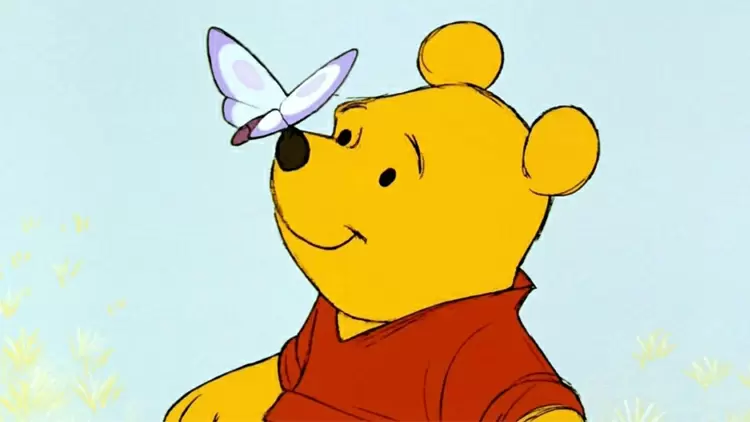 You are Winnie the Pooh.
