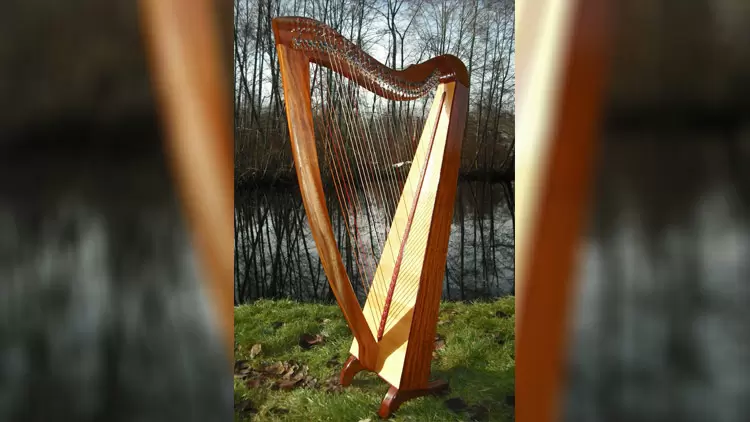 The harp