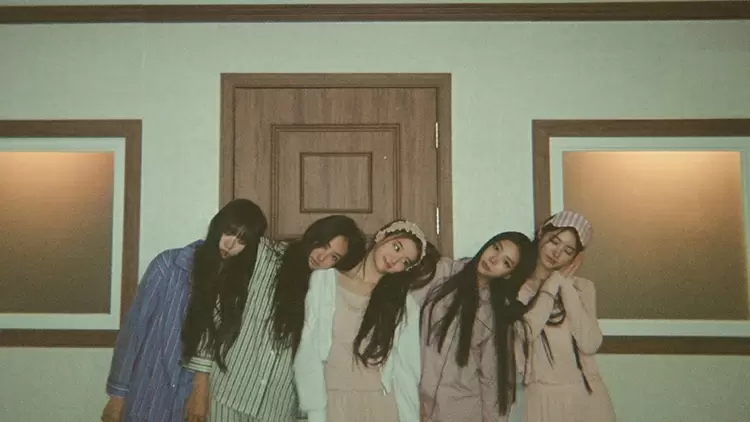 If I woke up one morning as a cat, I would:  