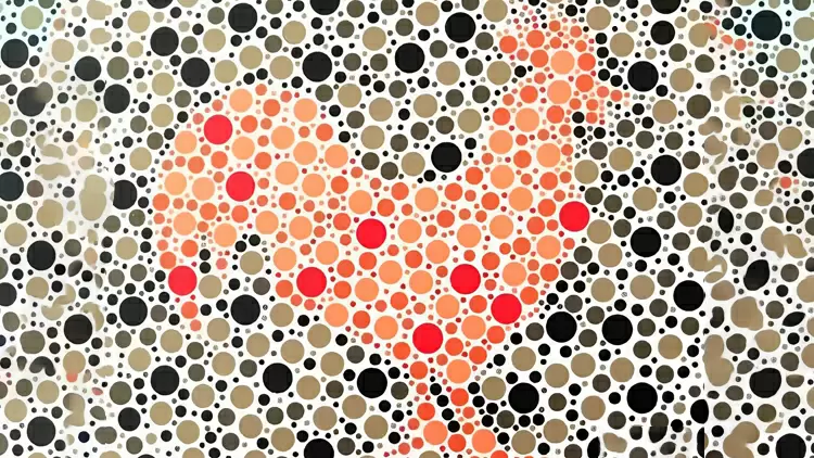 Please select the animal displayed in the image.