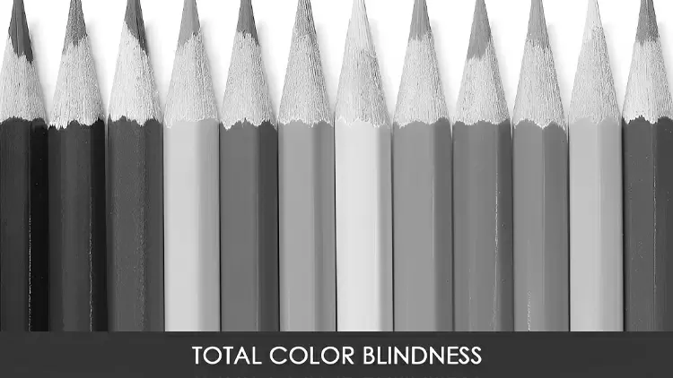 Total Color Blindness (Monochromacy/Achromatopsia)