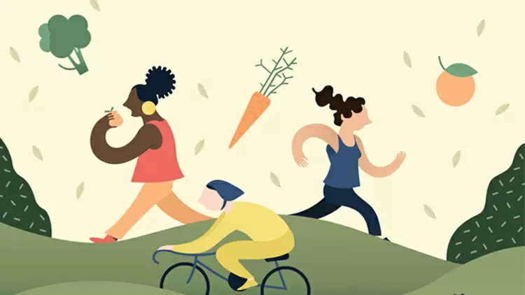 Mild Seasonal Variations