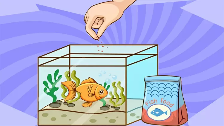 Fish are your perfect pet !