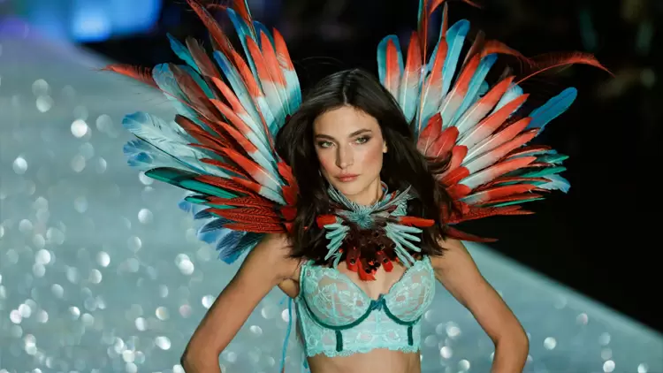 Bird of Paradise Wing