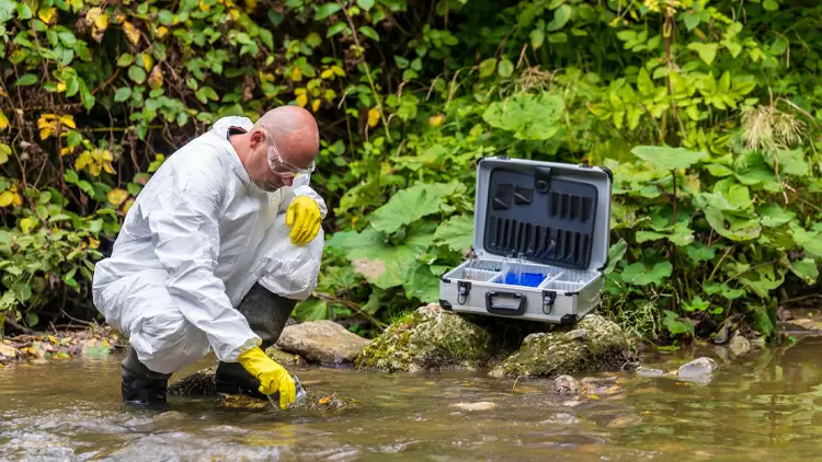 Environmental Scientist