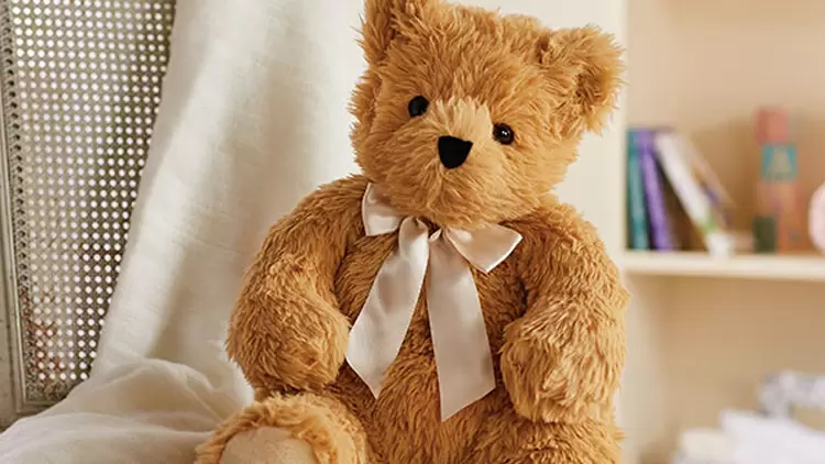 You are a teddy bear. 