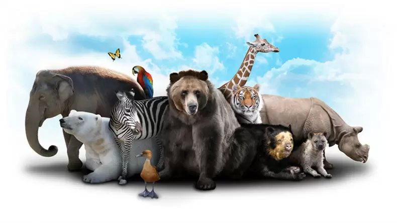 What Animal Am I? Personality Test
