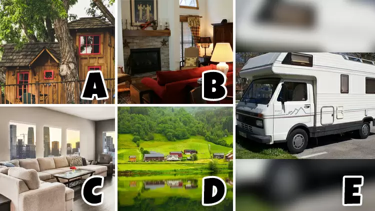  What's your home style?