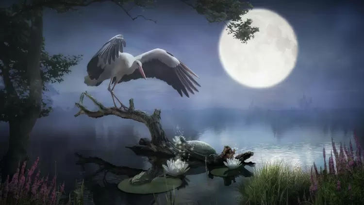 Your spirit animal is the crane!