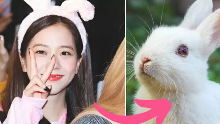  Which animal do you consider to be a representation of your qualities?